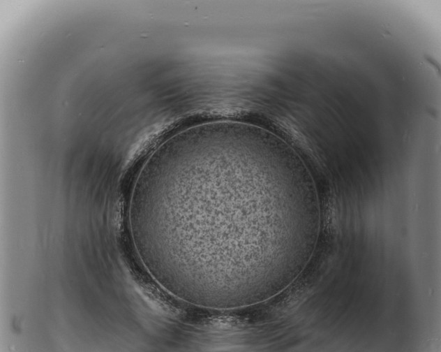 X0000103250736200809041108