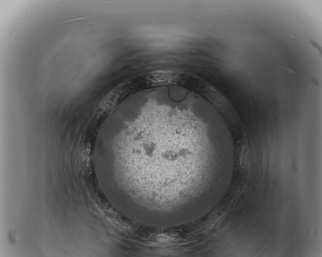 X0000103250737200809041108