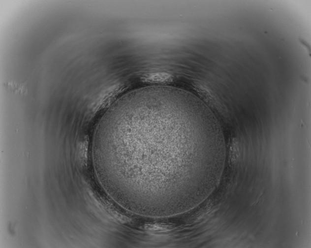 X0000103250739200809041108