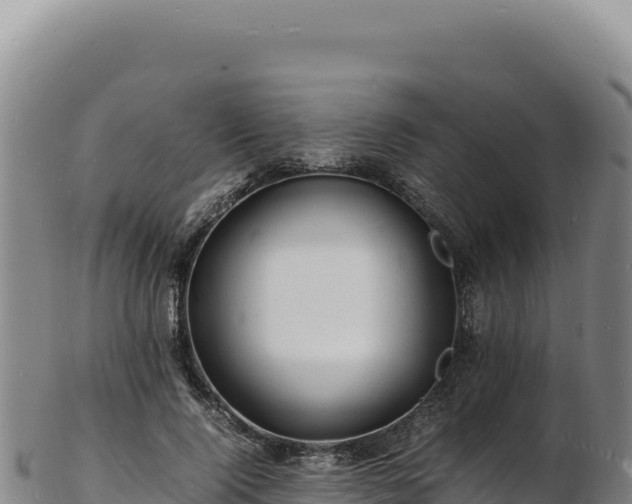 X0000103250740200809041108
