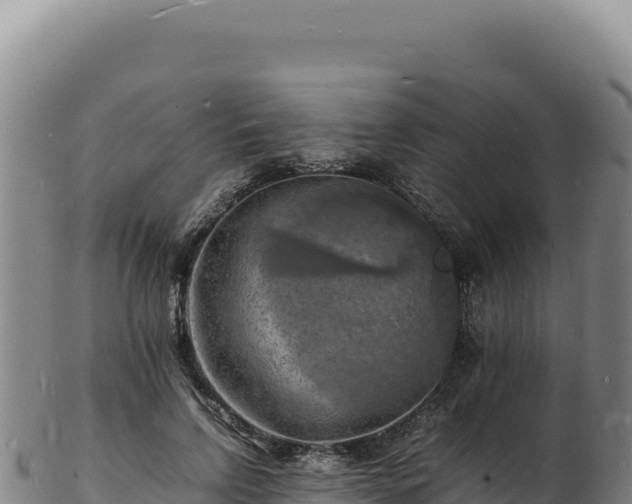X0000103250742200809041108