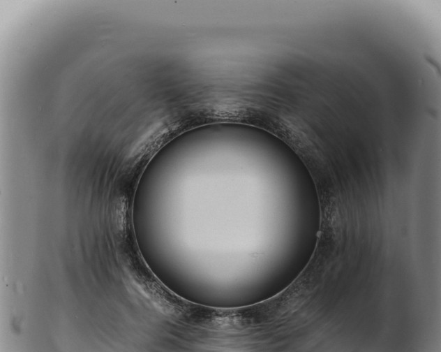X0000103250744200809041108