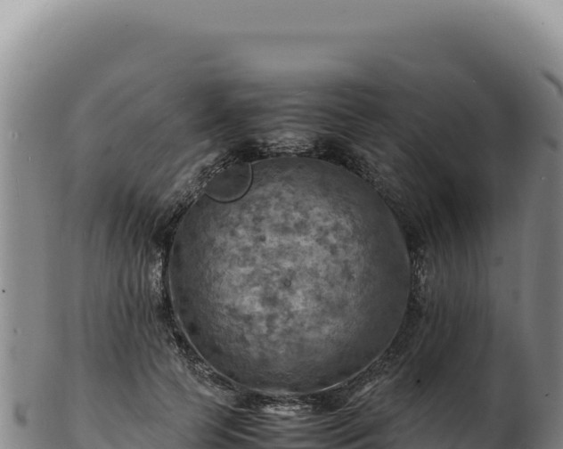 X0000103250745200809041108