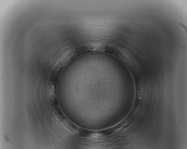 X0000103250748200809041108