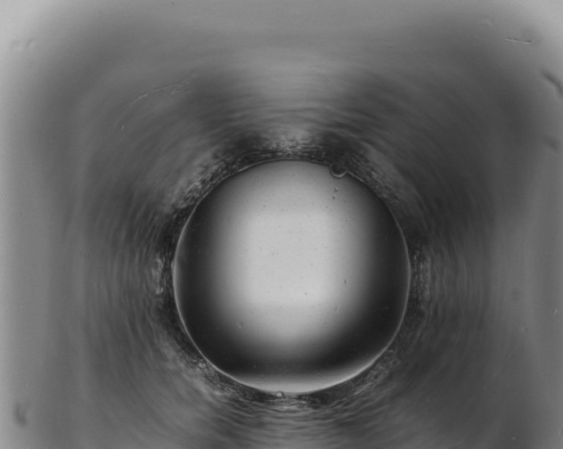 X0000103250750200809041108