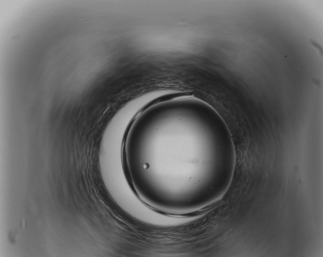 X0000103250752200809041108