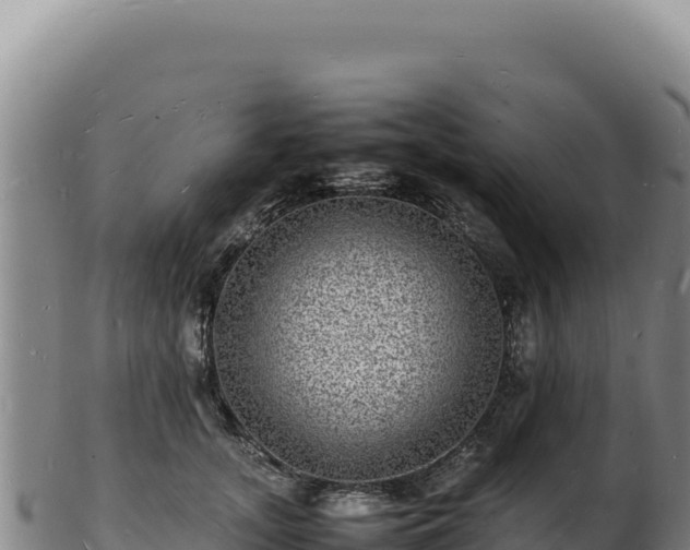 X0000103250755200809041108