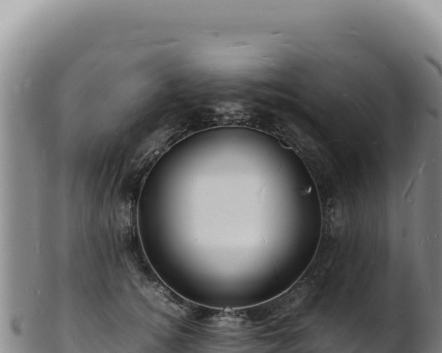 X0000103250756200809041108