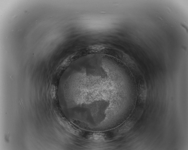 X0000103250758200809041108