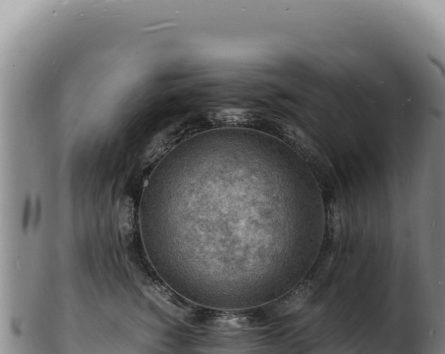 X0000103250760200809041109