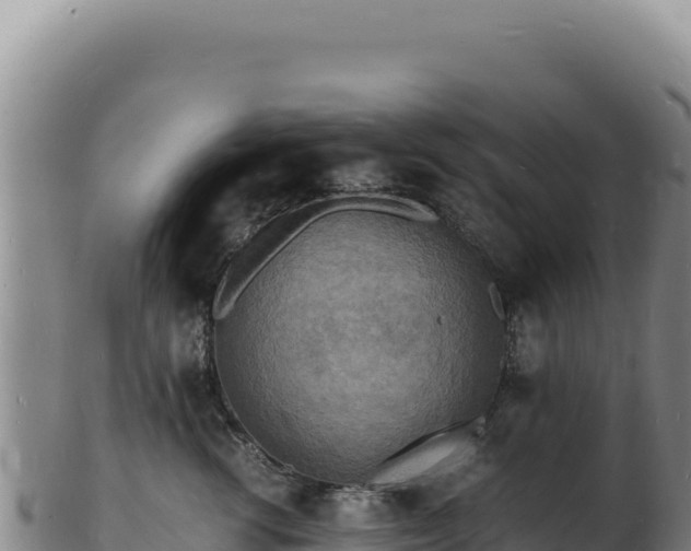 X0000103250762200809041109