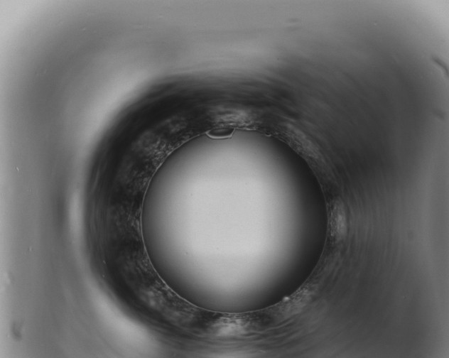 X0000103250764200809041109