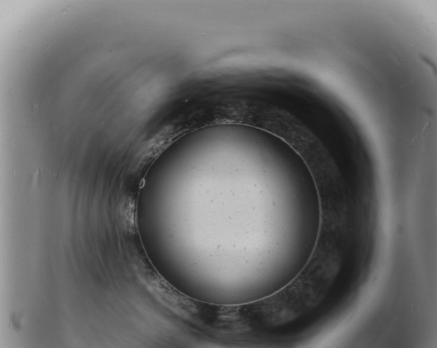 X0000103250766200809041109