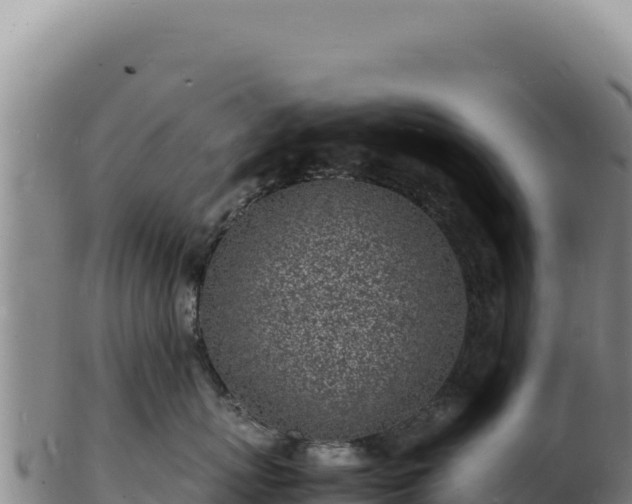 X0000103250767200809041109