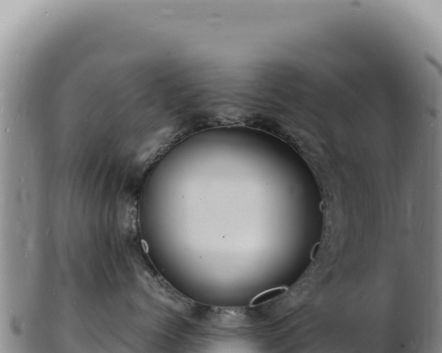 X0000103250768200809041109