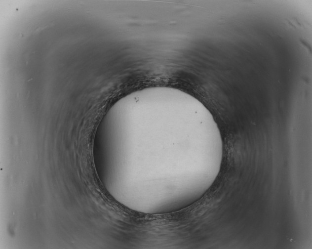 X0000103250769200809041108