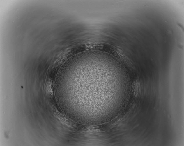 X0000103250770200809041108