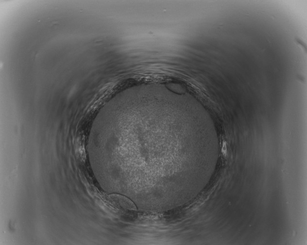 X0000103250771200809041108