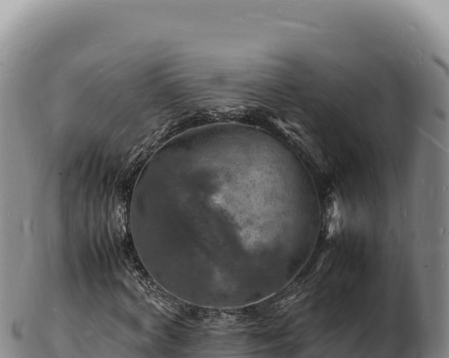 X0000103250772200809041108