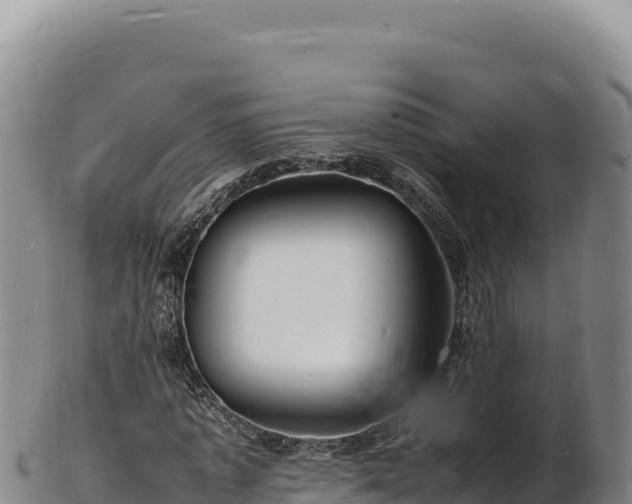X0000103250773200809041108