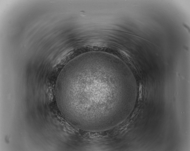 X0000103250774200809041108