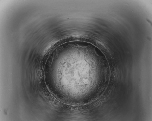 X0000103250776200809041108