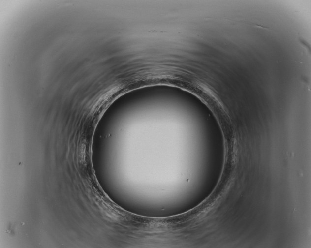 X0000103250777200809041108