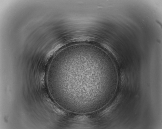 X0000103250778200809041108