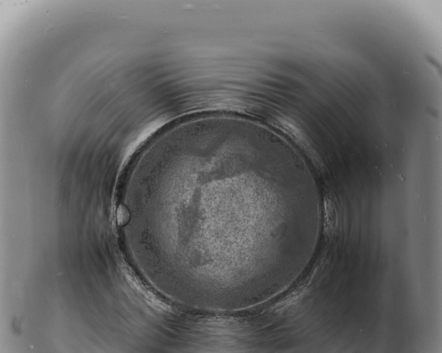 X0000103250780200809041108