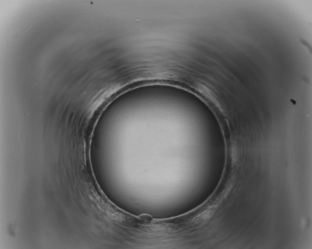 X0000103250781200809041108