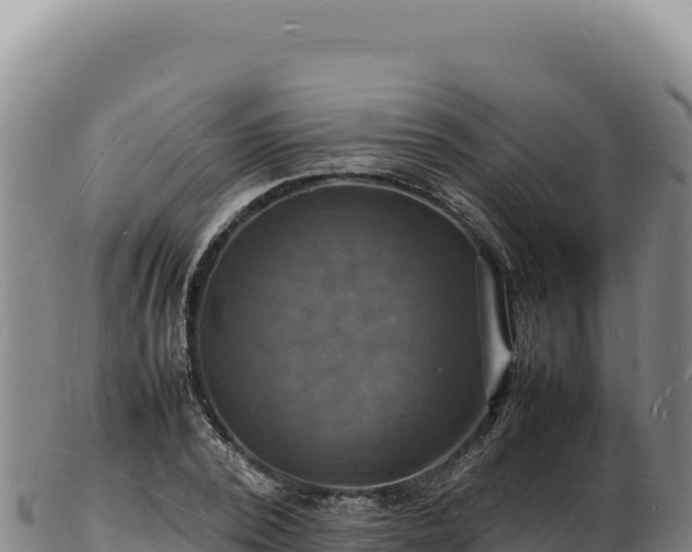X0000103250784200809041108