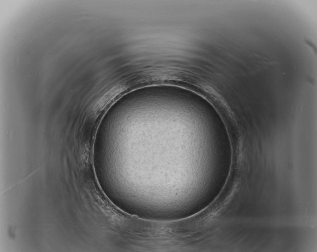 X0000103250785200809041108
