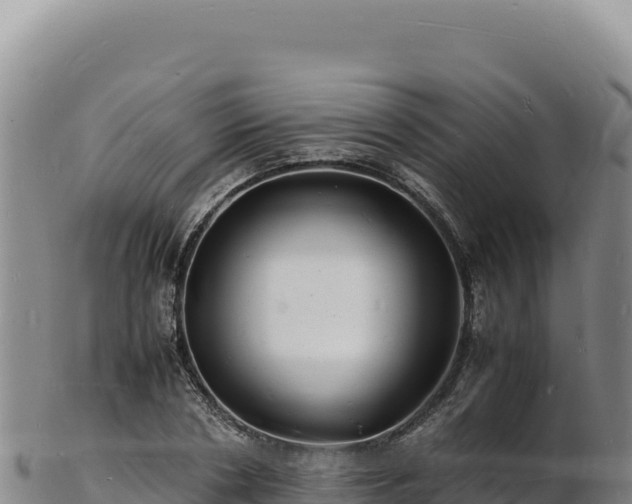 X0000103250786200809041108