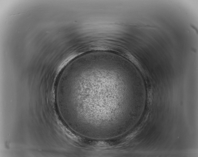 X0000103250787200809041108