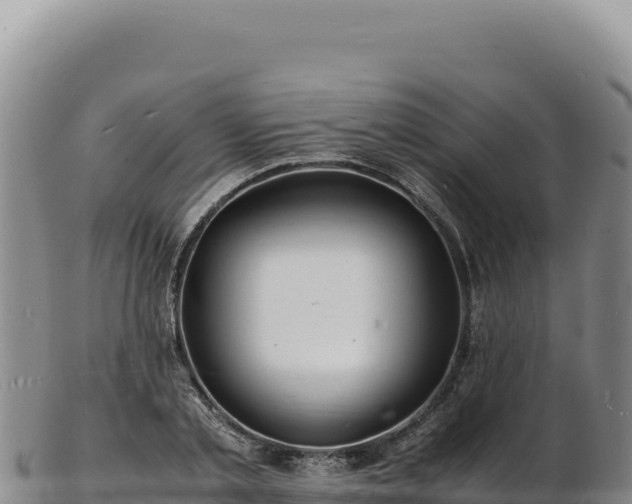 X0000103250789200809041108