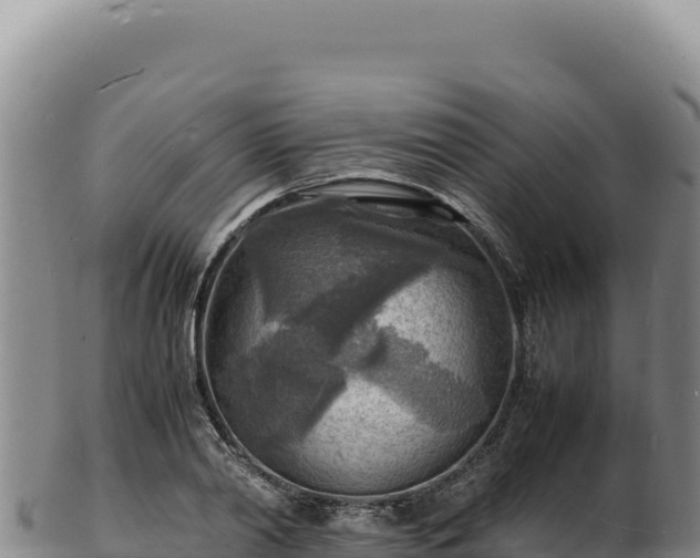 X0000103250790200809041108