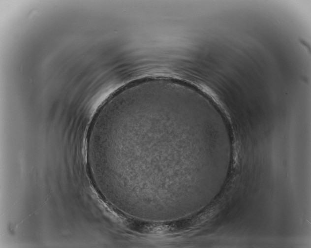 X0000103250791200809041108