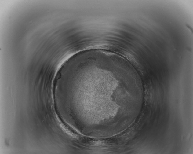 X0000103250792200809041108