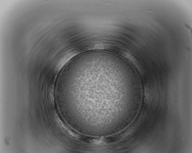 X0000103250794200809041108