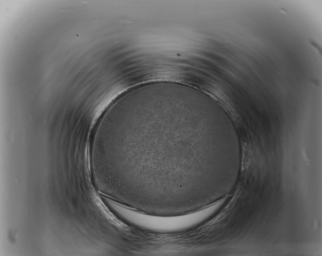 X0000103250796200809041108