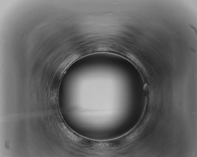 X0000103250801200809041108