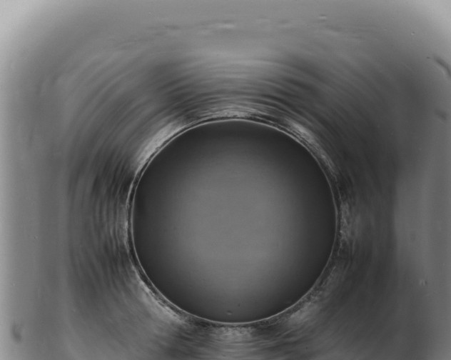 X0000103250802200809041107