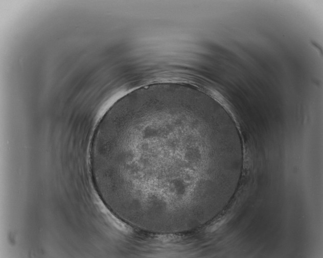 X0000103250803200809041107