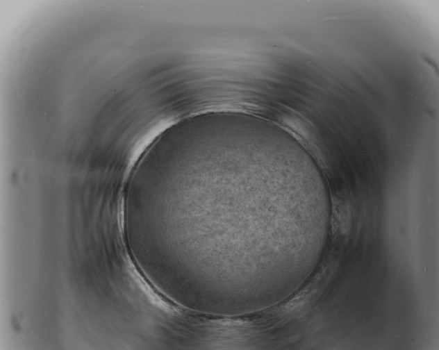 X0000103250804200809041107