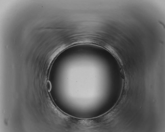 X0000103250805200809041107