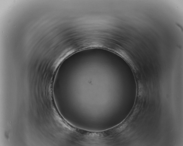 X0000103250806200809041107