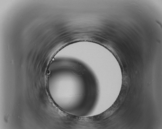 X0000103250807200809041107