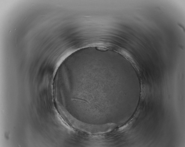 X0000103250808200809041107