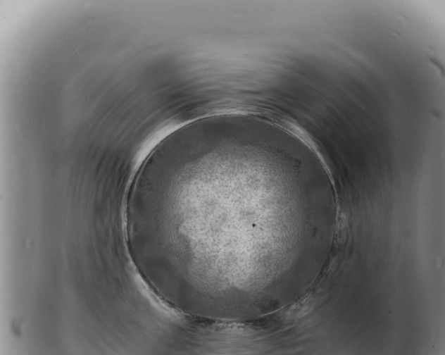 X0000103250811200809041107