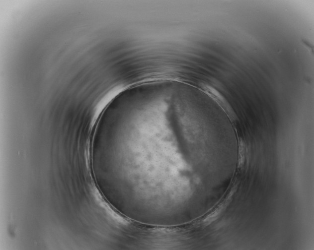 X0000103250812200809041107